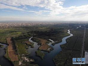 绿洲世界最新爆料新闻,神秘事件引发热议，真相即将揭晓！  第2张