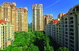 绿洲世界最新爆料新闻,神秘事件引发热议，真相即将揭晓！  第3张